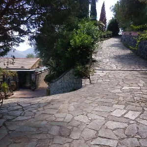 Azalea , Montale (Liguria) Italia